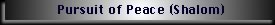 Pursuit of Peace (Shalom)